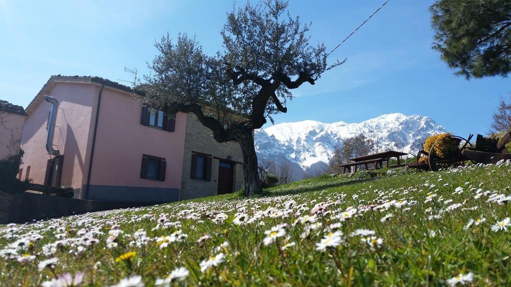 La Via Del Parco Villa Arsita Eksteriør billede